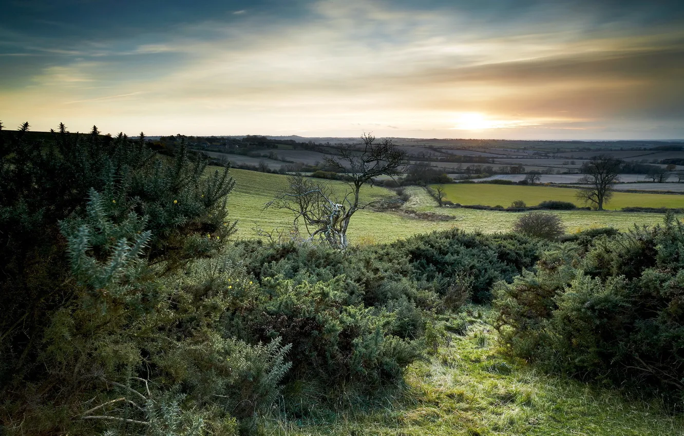 Photo wallpaper field, landscape, nature