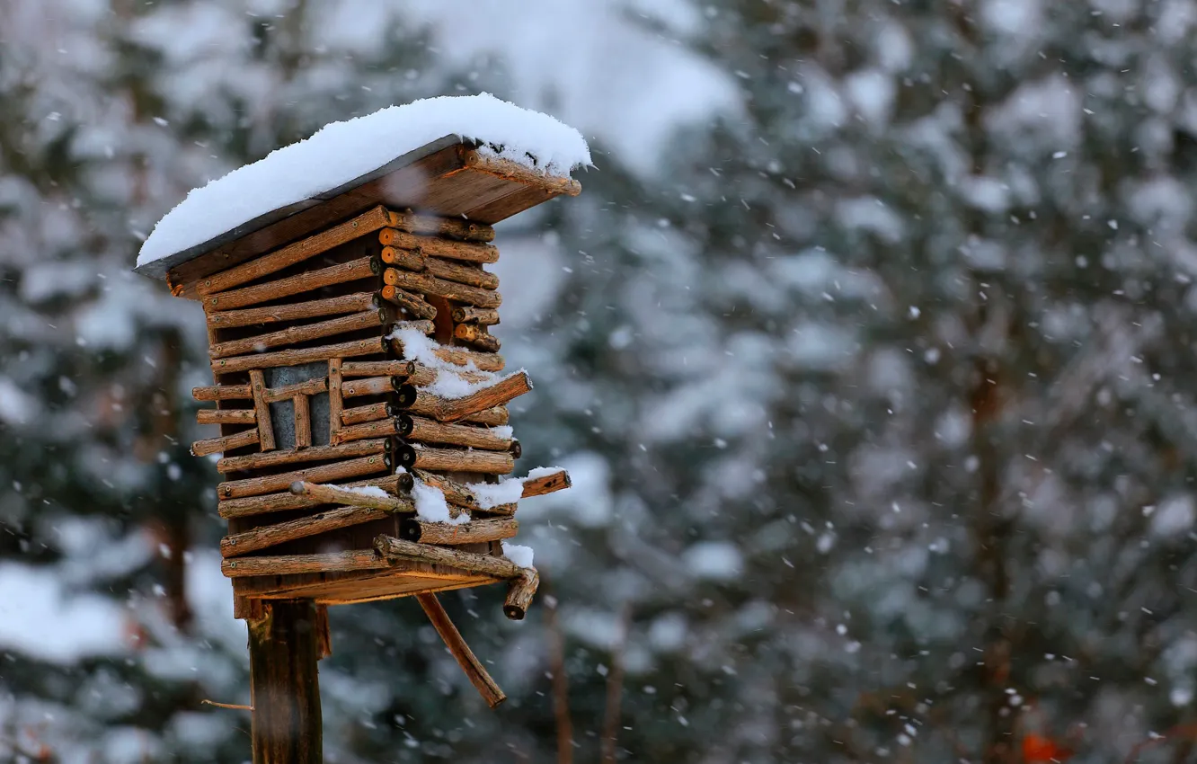 Photo wallpaper snow, birdhouse, bokeh, birdhouse