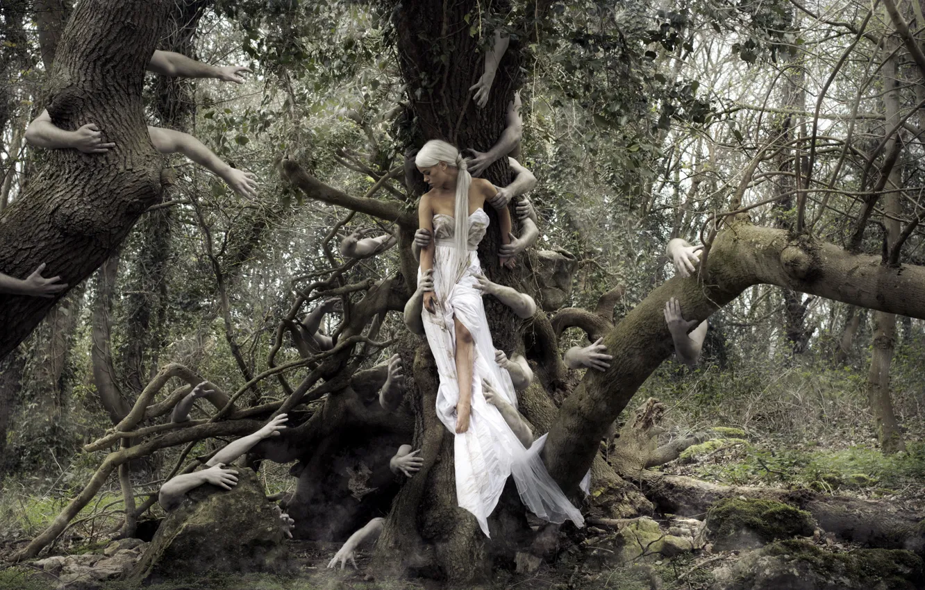 Photo wallpaper girl, trees, hands