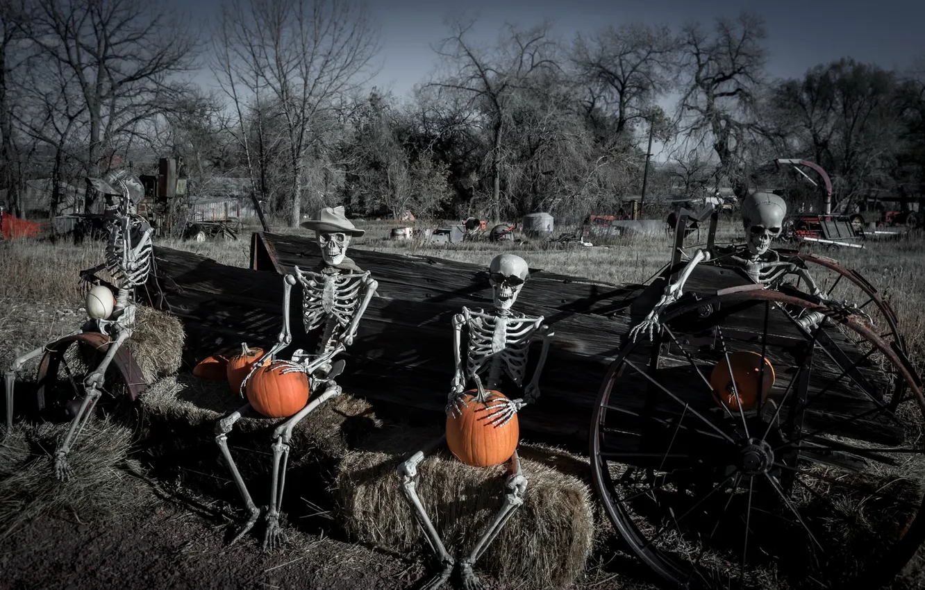 Photo wallpaper skeleton, pumpkin, Happy Hallowe'en