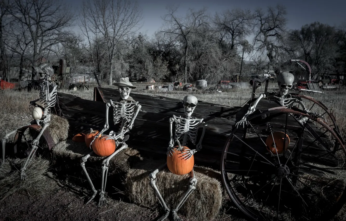 Photo wallpaper pumpkin, skeletons, Happy Hallowe'en