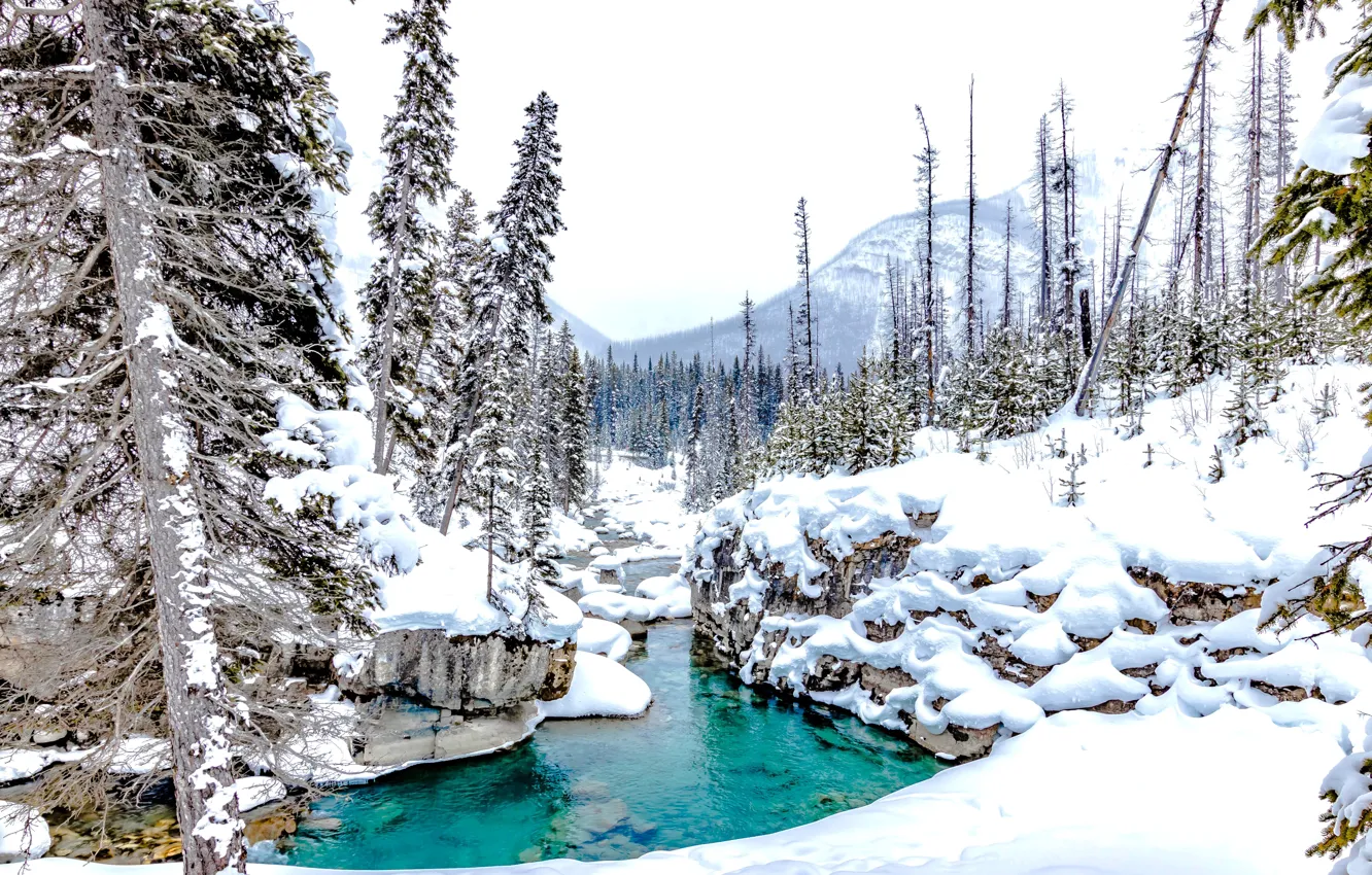 Photo wallpaper winter, forest, snow, trees, stream, Canada, the snow, river