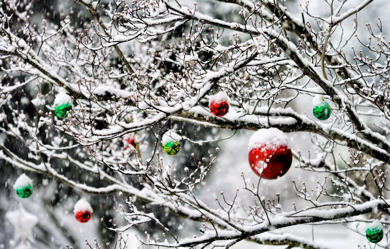 Photo wallpaper winter, balls, snow, decoration, trees, new year, garden, Christmas