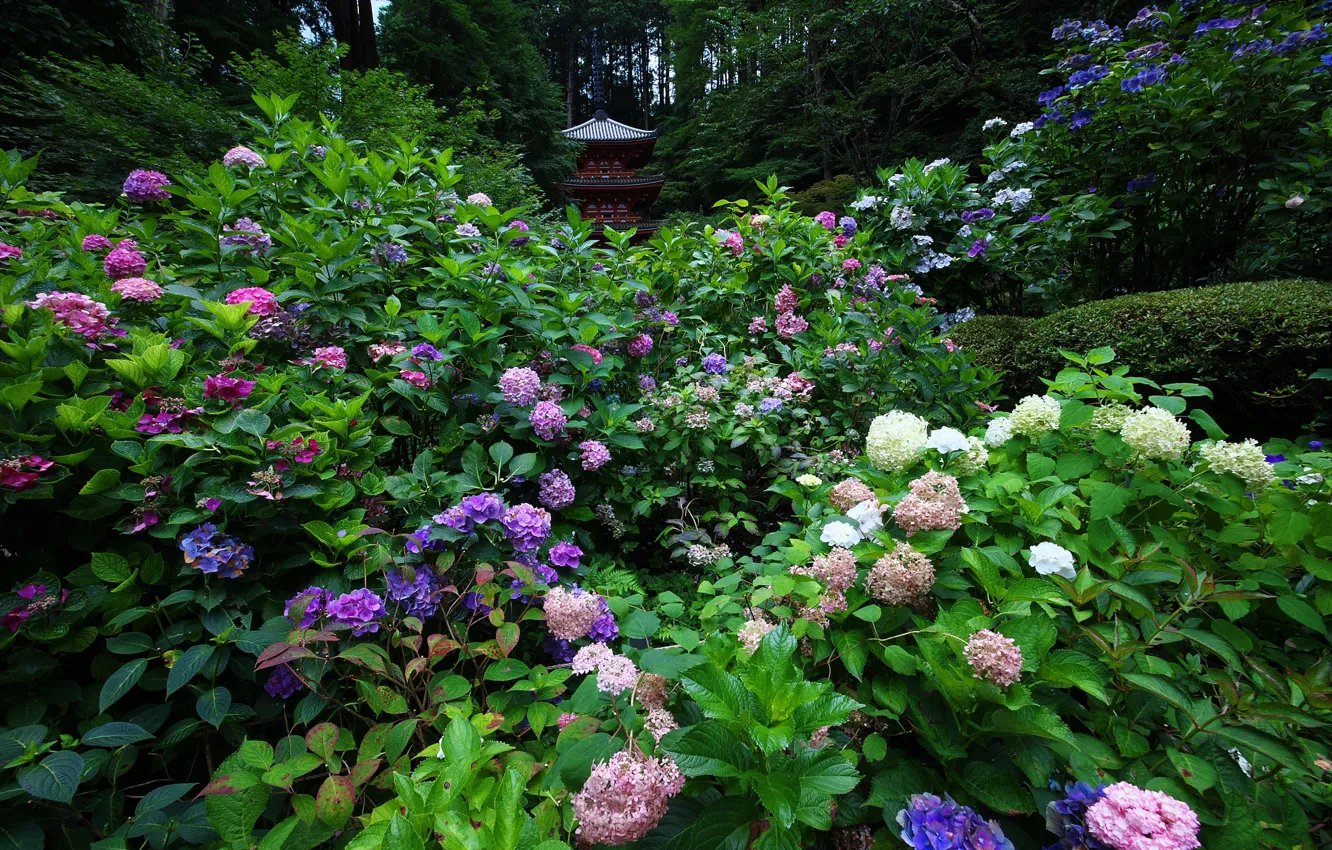 Photo wallpaper flowers, nature, garden, pagoda, the bushes, hydrangea