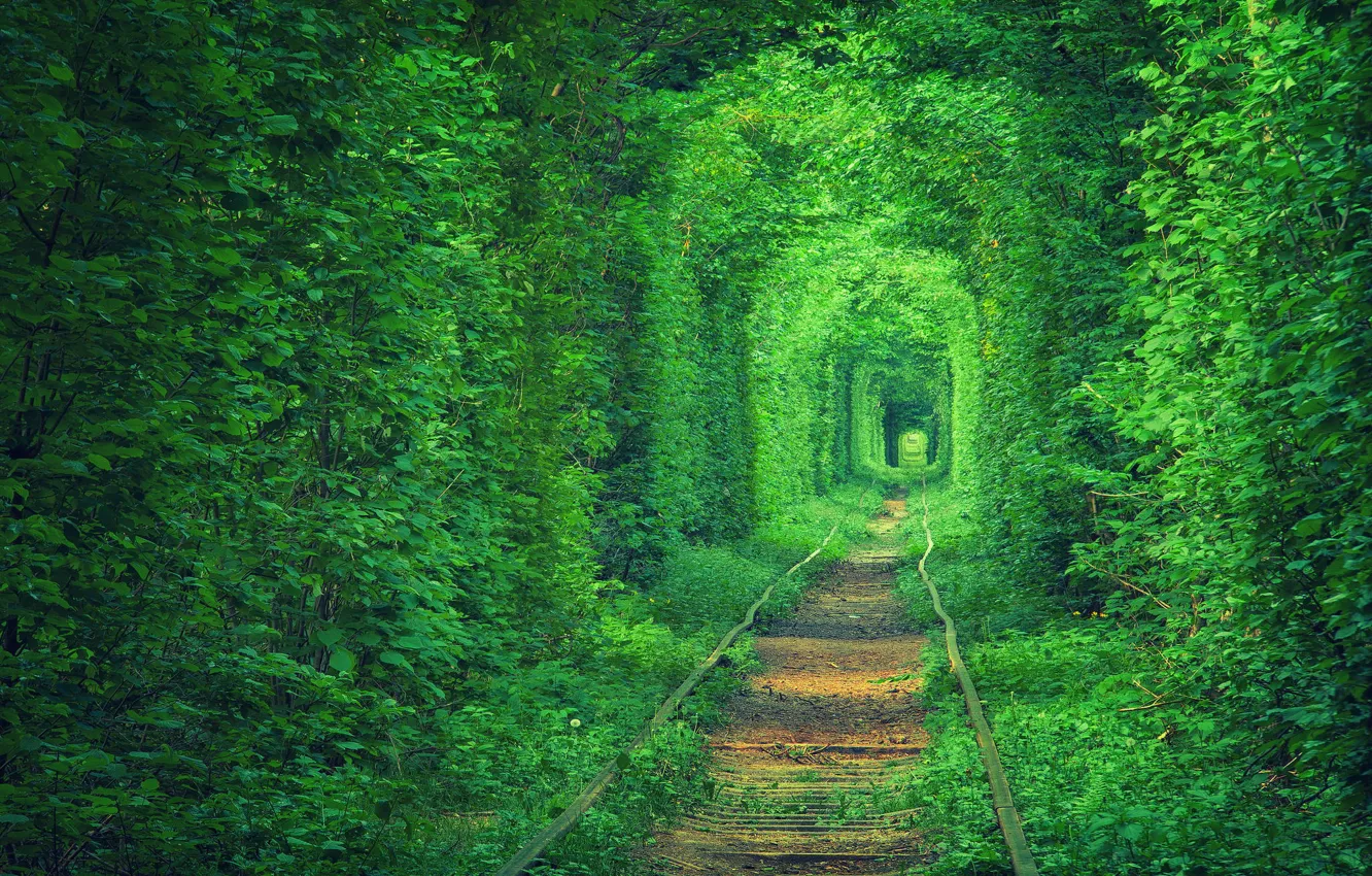 Photo wallpaper nature, Ukraine, tram tracks, railway road, tunnel love, trees foliage