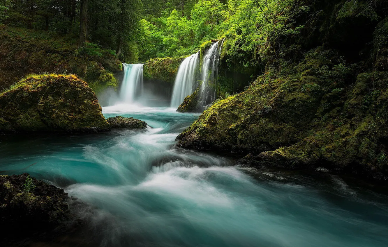 Photo wallpaper greens, forest, summer, water, river, stones, rocks, for