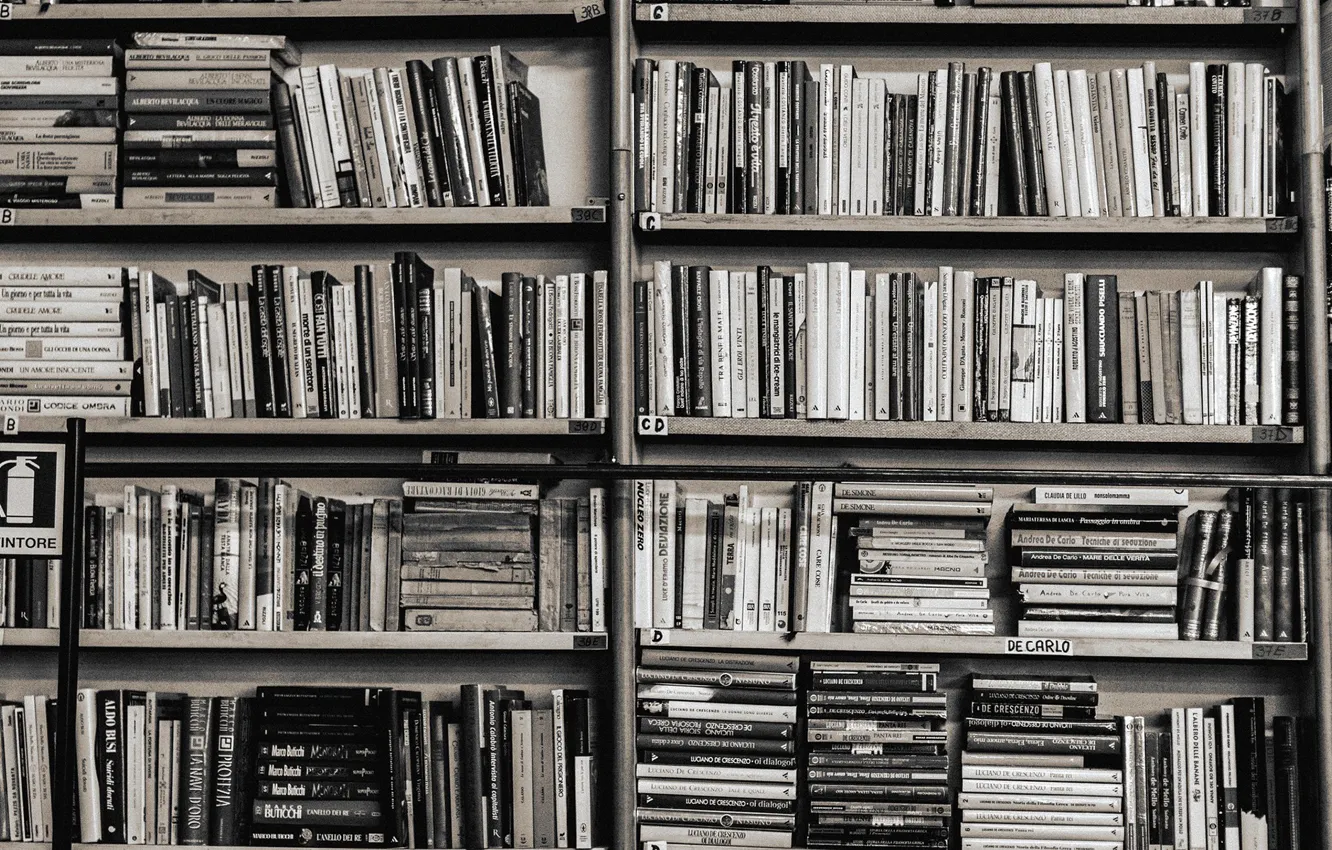 Photo wallpaper books, shelf, library, books