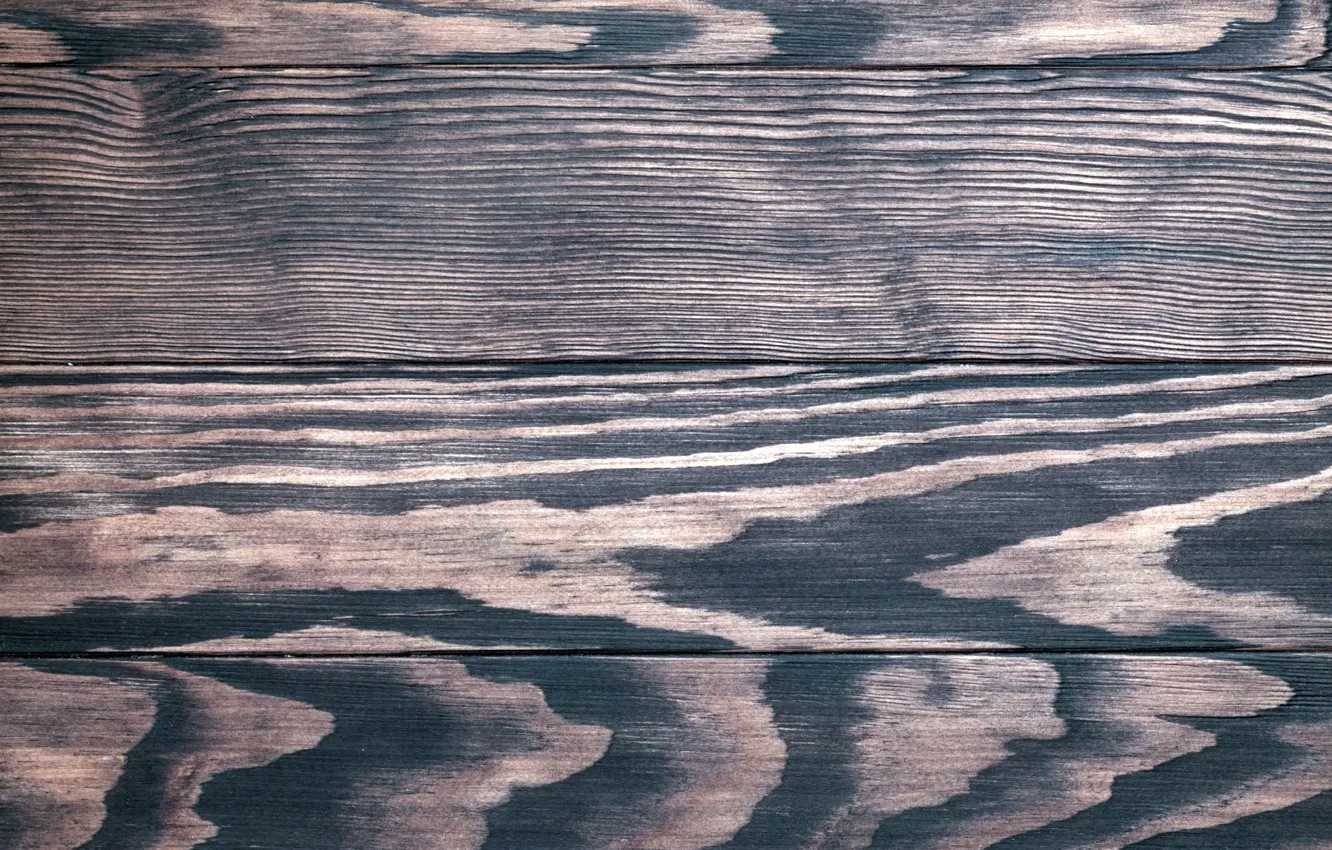 Photo wallpaper tree, Board, texture