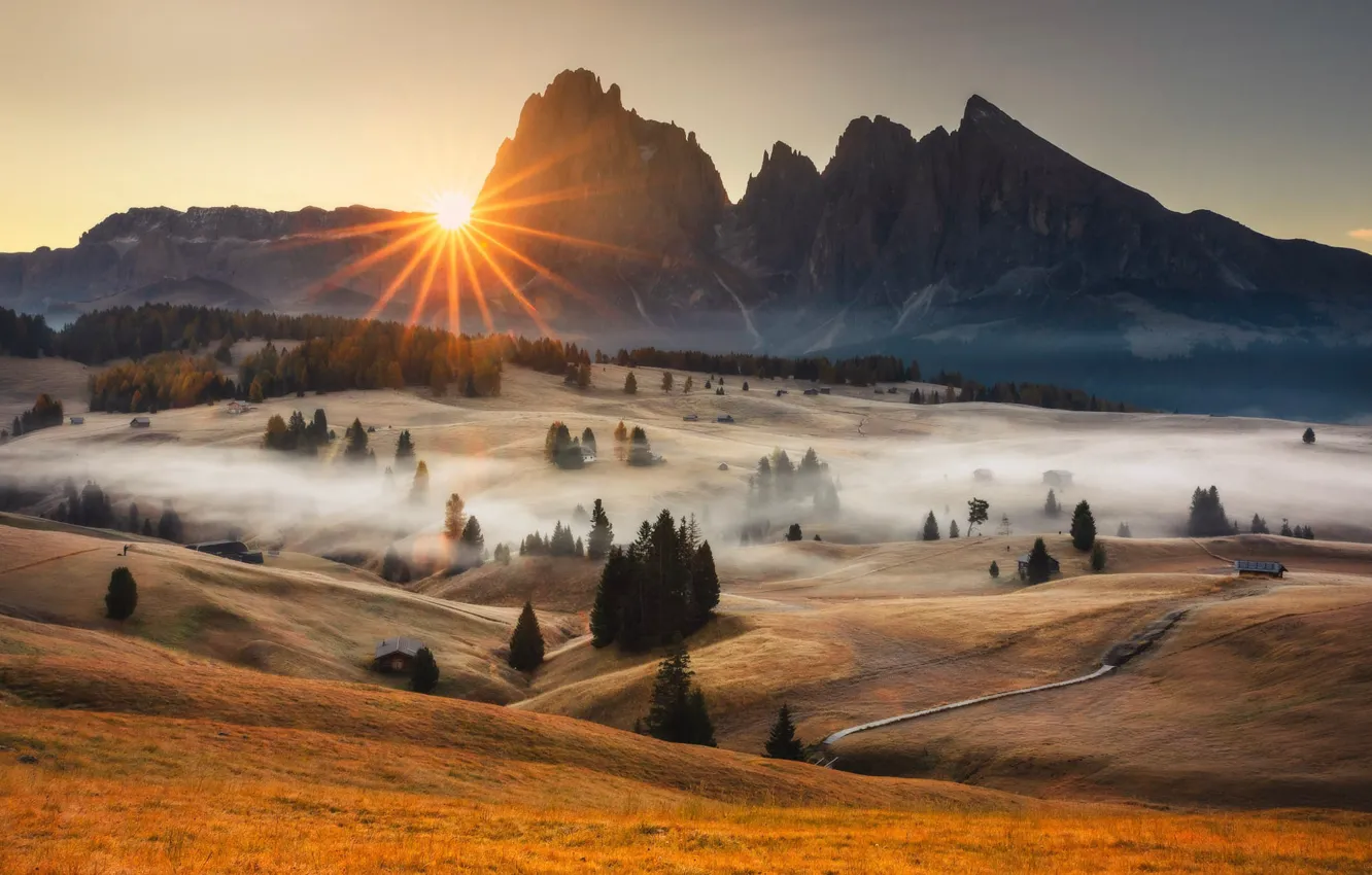 Photo wallpaper field, forest, mountains, fog, morning, Alps