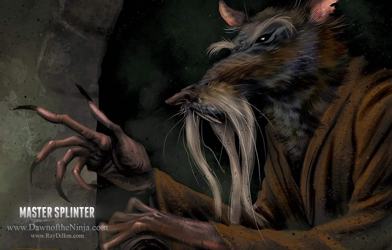 Photo wallpaper TMNT, rat, master splinter