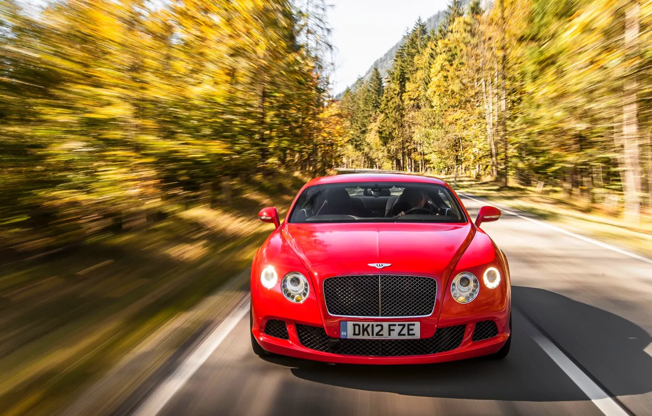 Photo wallpaper Red, Auto, Bentley, Continental, Forest, Machine, The hood, Lights