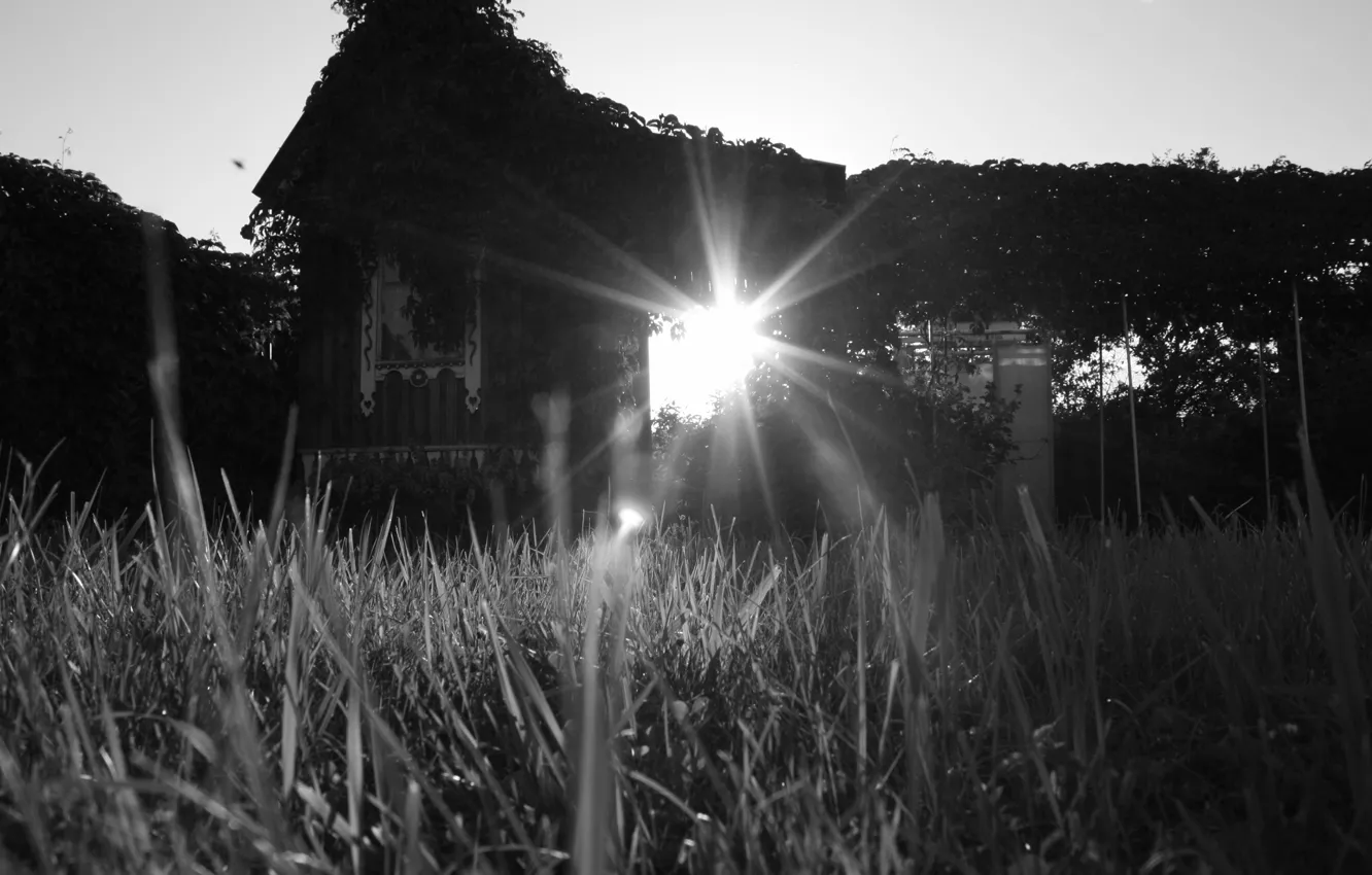Photo wallpaper grass, the sun, house