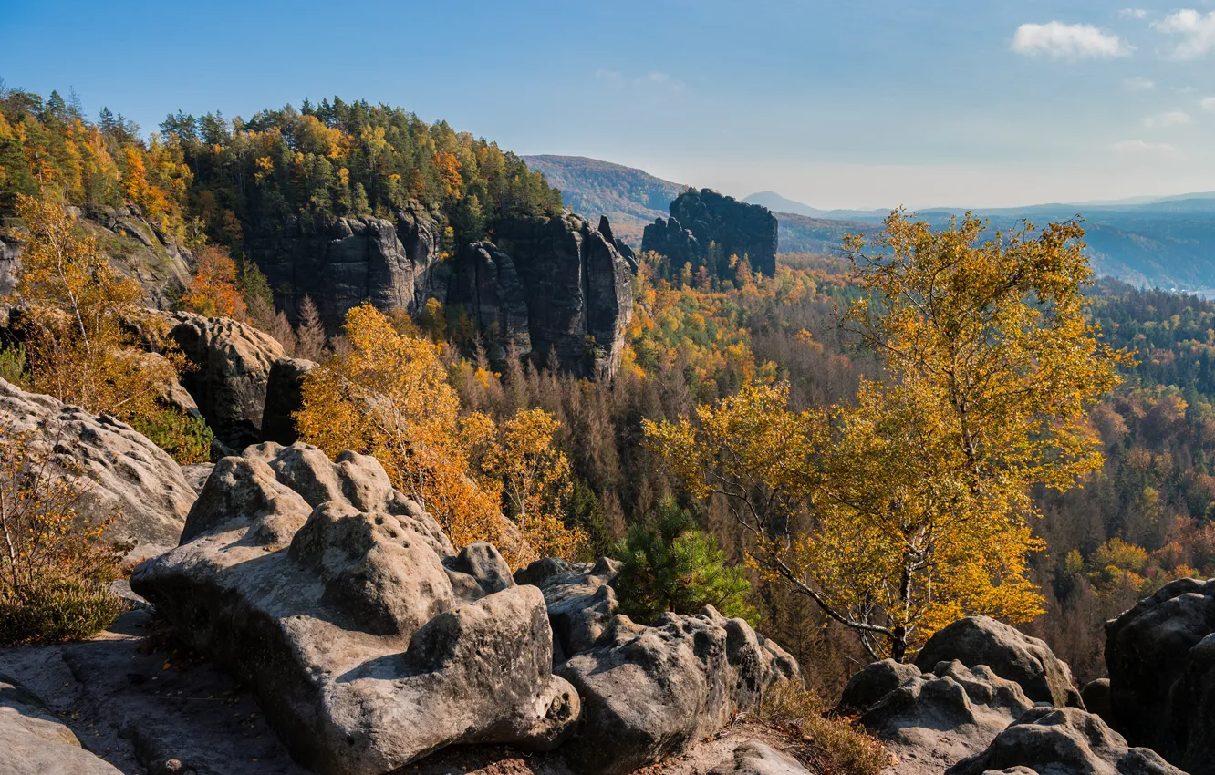 Photo wallpaper autumn, forest, trees, mountains, stones, Germany, Germany, Saxony