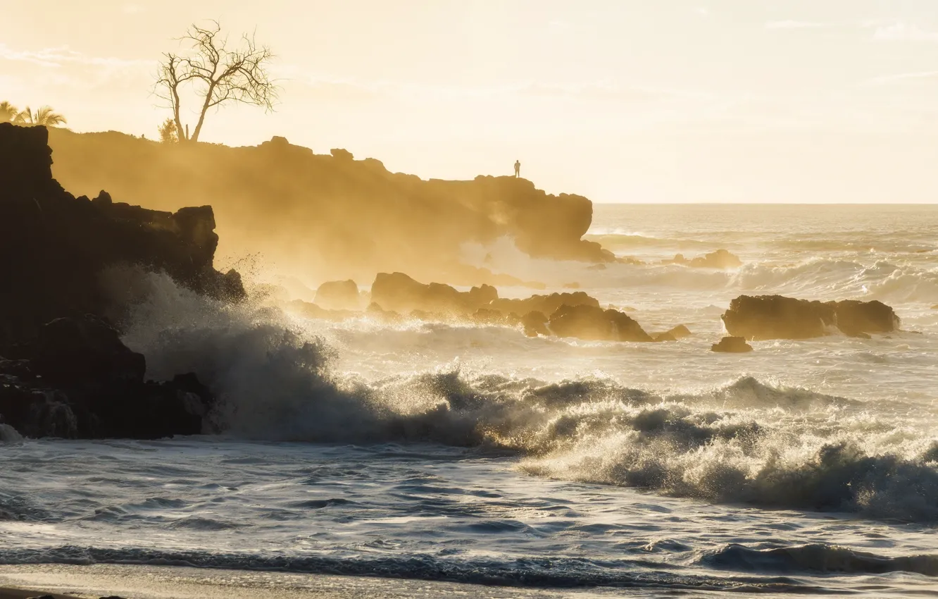 Photo wallpaper sea, shore, morning