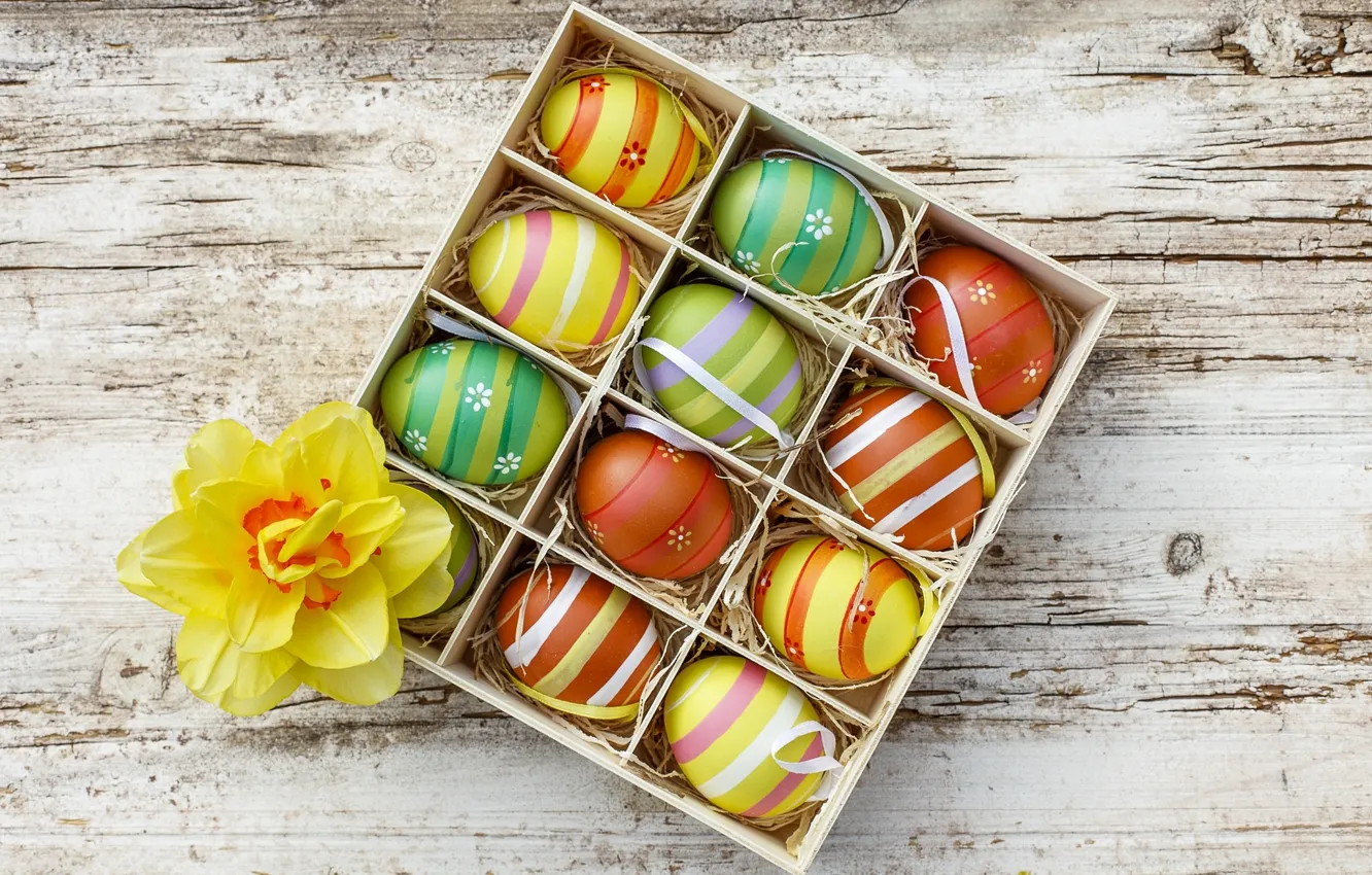 Photo wallpaper eggs, Easter, Narcissus, eggs