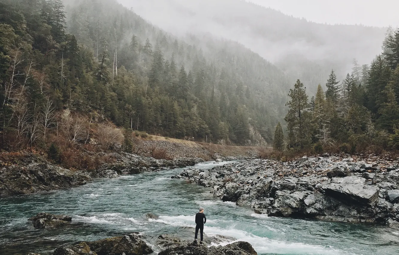 Photo wallpaper forest, fog, river, United States, mountain, photo, California, Crescent City