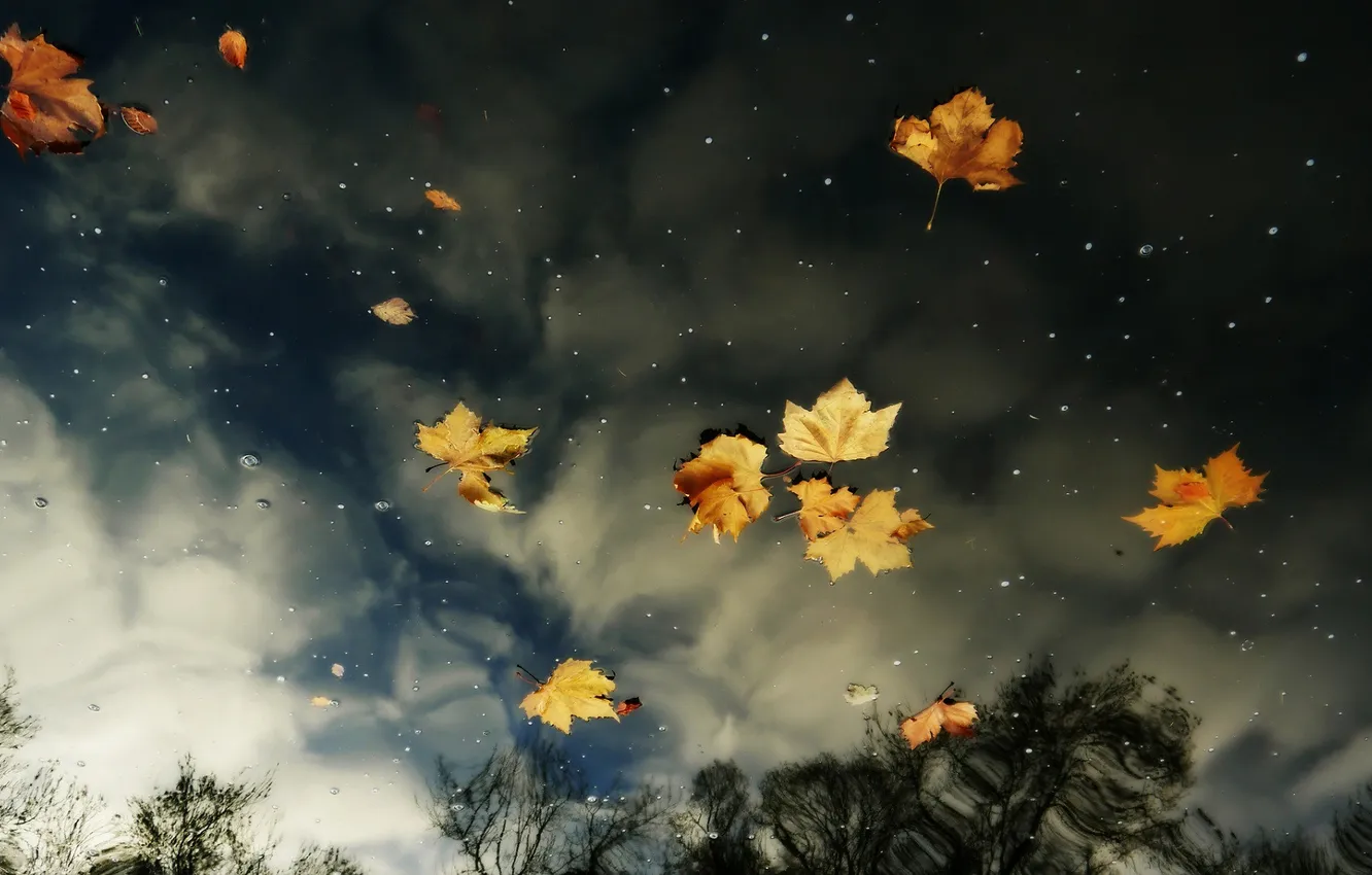 Photo wallpaper autumn, the sky, leaves, water, clouds, reflection