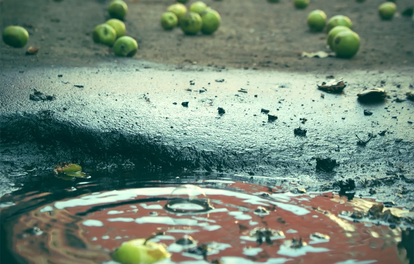 Photo wallpaper red, green, apples, puddle
