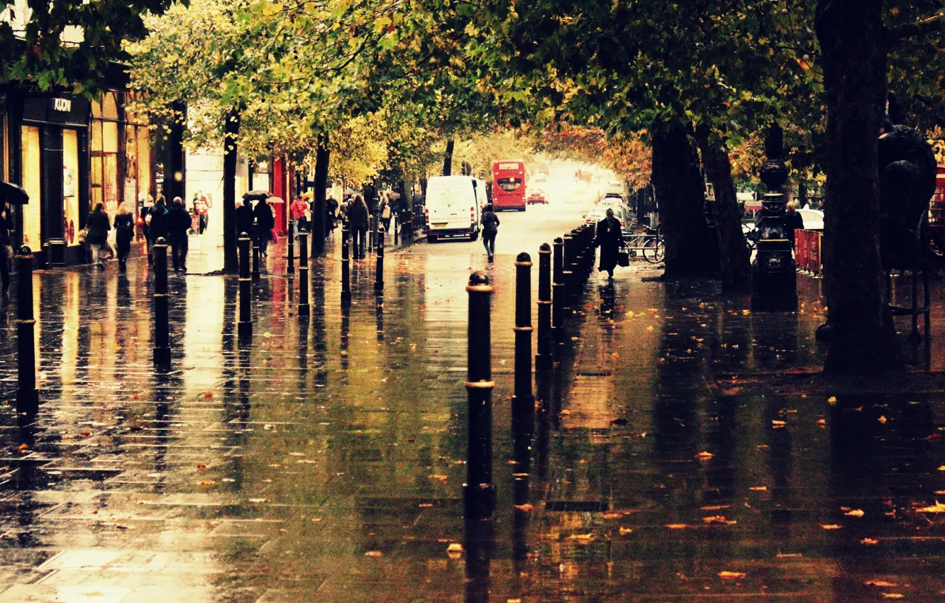 Photo wallpaper autumn, the city, rain, street