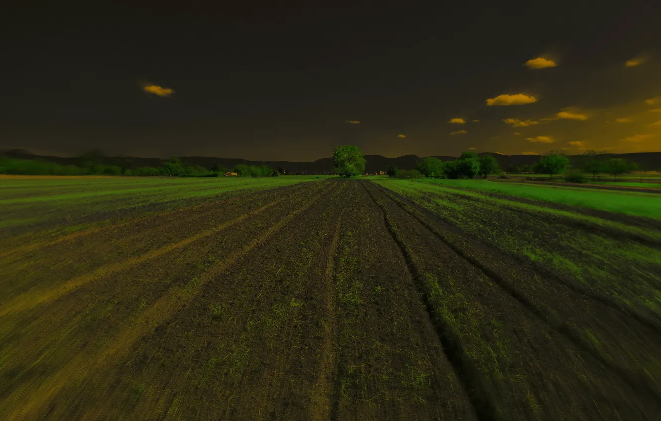 Photo wallpaper field, landscape, night