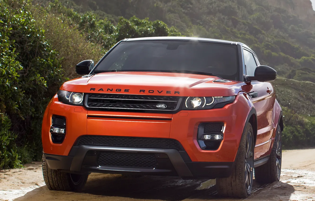 Photo wallpaper trees, Evoque, Rover, Range