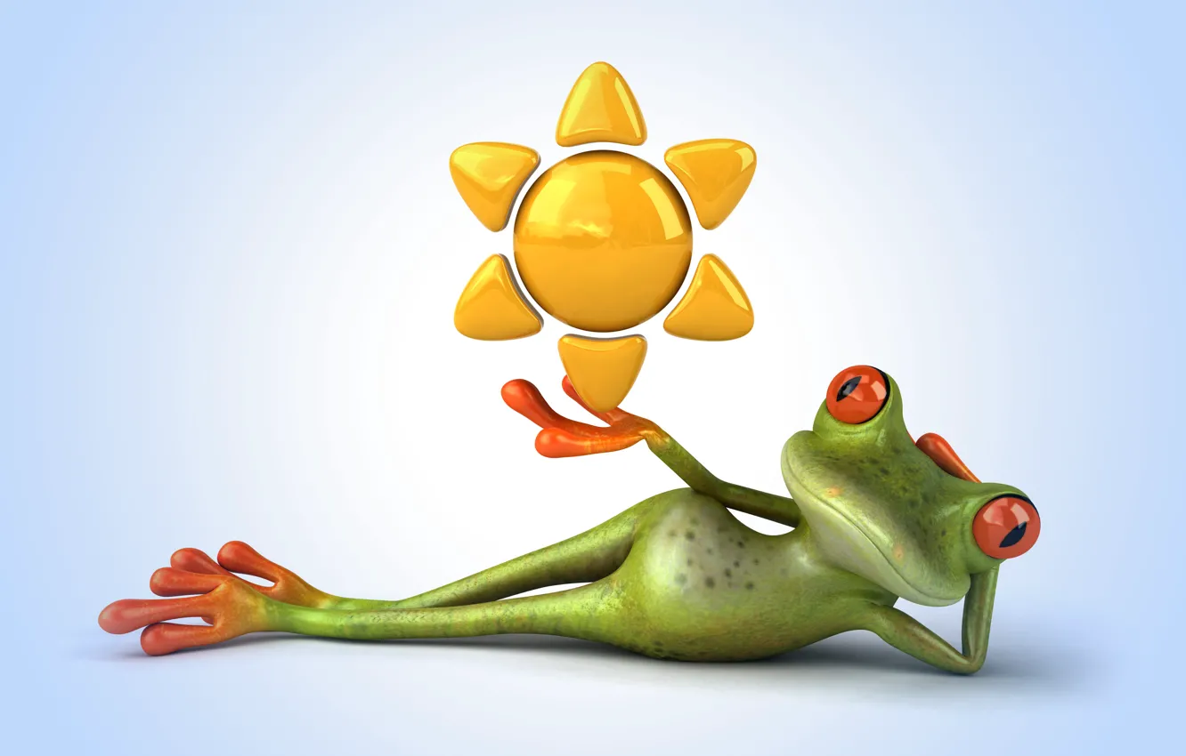 Photo wallpaper frog, frog, funny