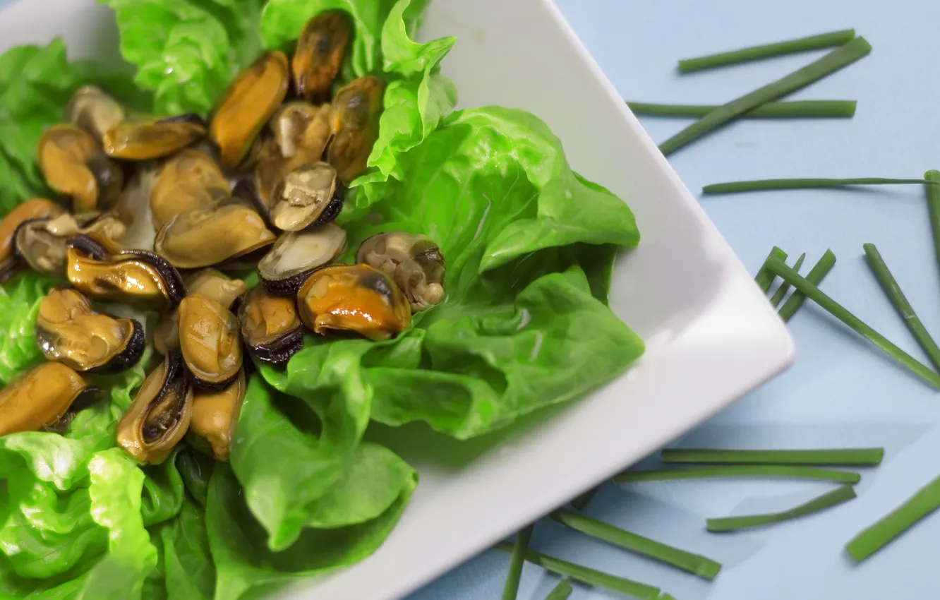 Photo wallpaper greens, plate, salad, seafood, mussels