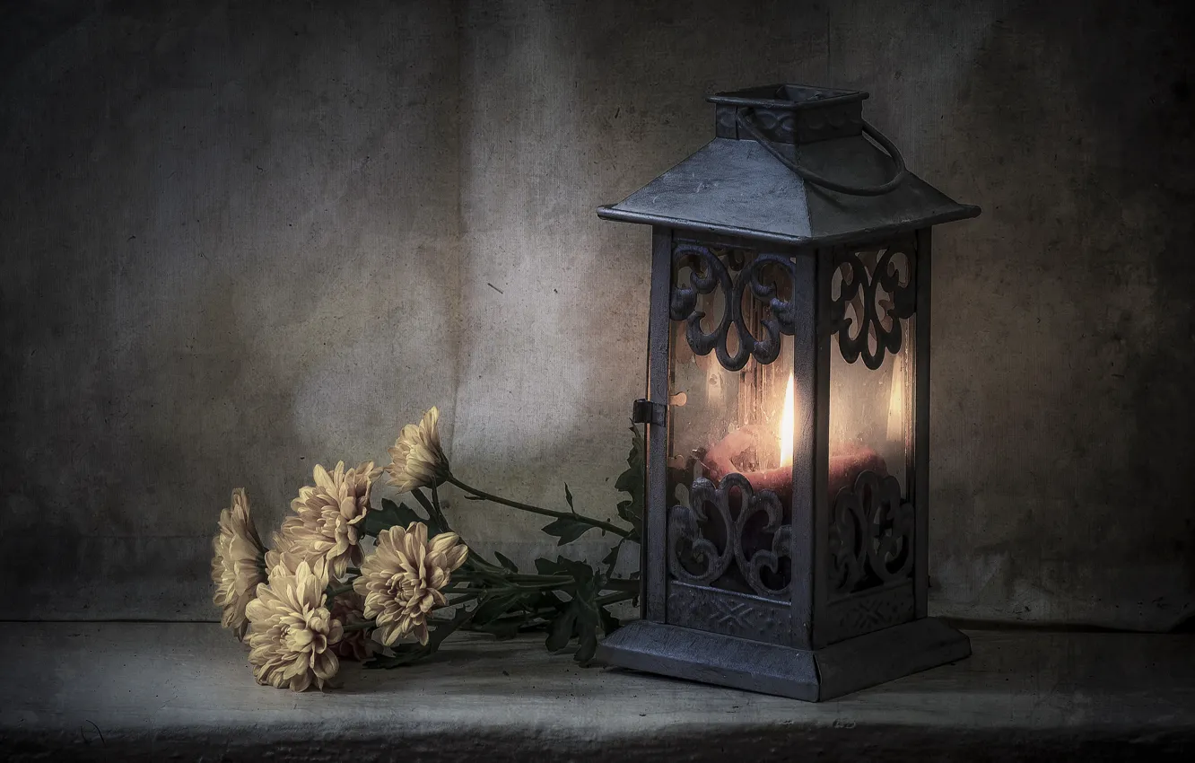 Photo wallpaper flowers, style, candle, lantern, chrysanthemum