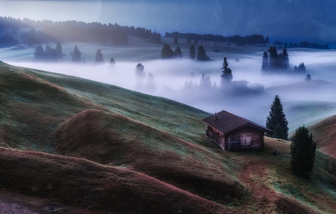 Photo wallpaper forest, mountains, fog, hills, view, morning, slope, Alps