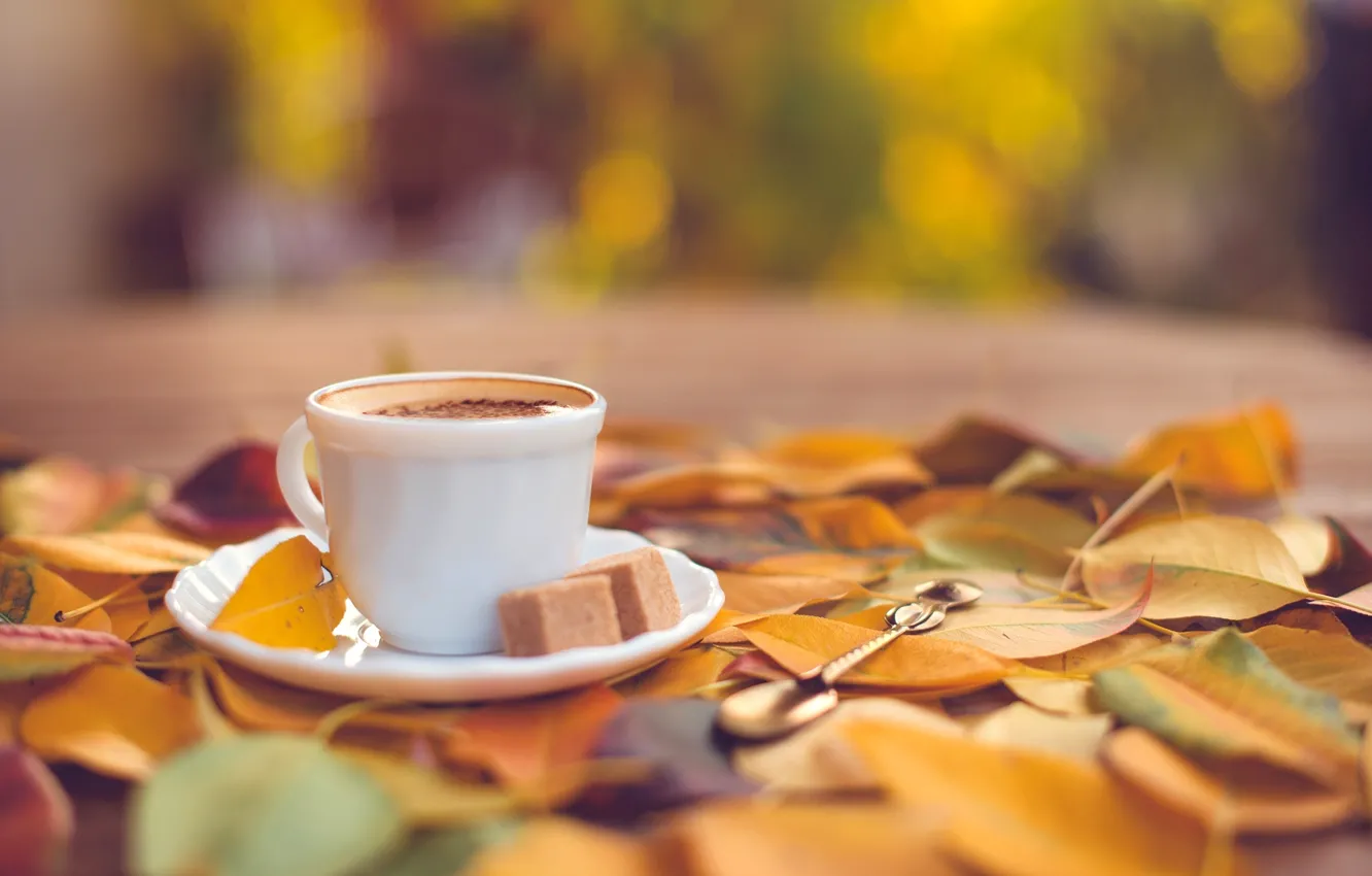 Photo wallpaper autumn, leaves, coffee, yellow, spoon, Cup, sugar, saucer