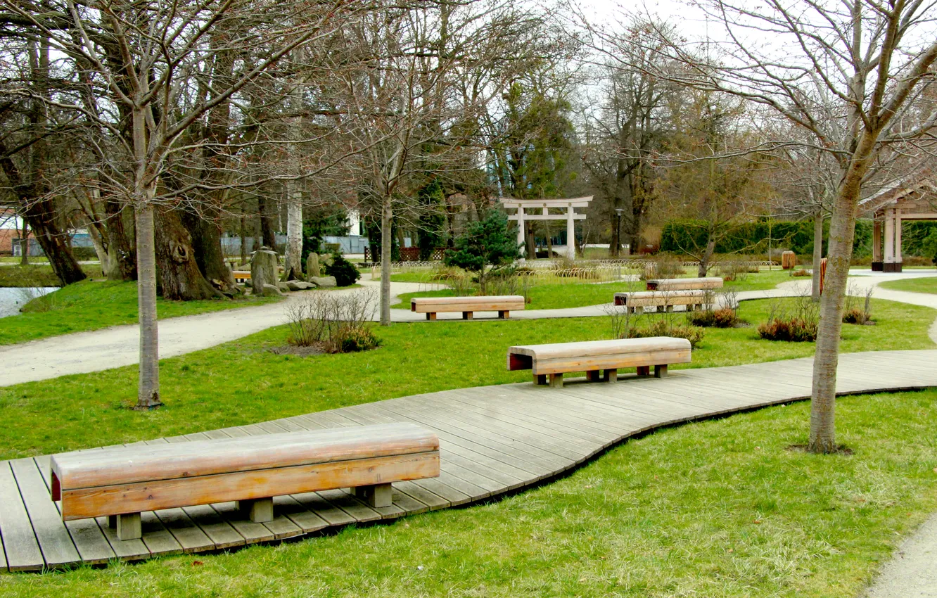 Photo wallpaper park, bench, alley