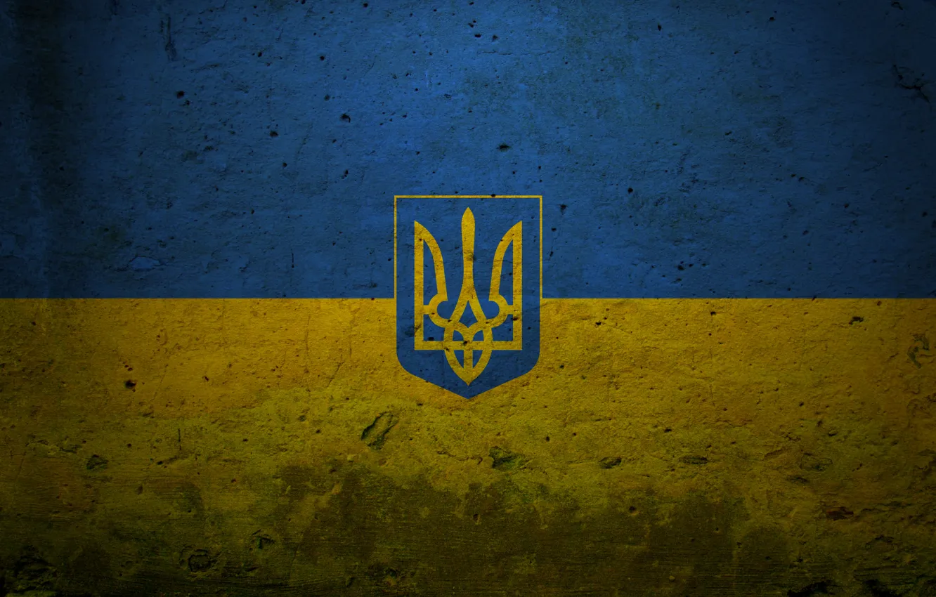 Photo wallpaper blue, yellow, blue, sign, texture, flag, symbol, coat of arms