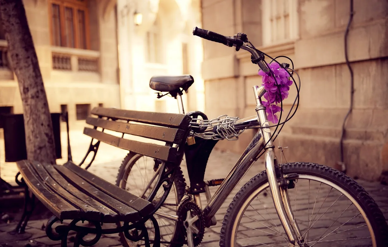 Photo wallpaper flowers, bench, bike, the city, street, chain