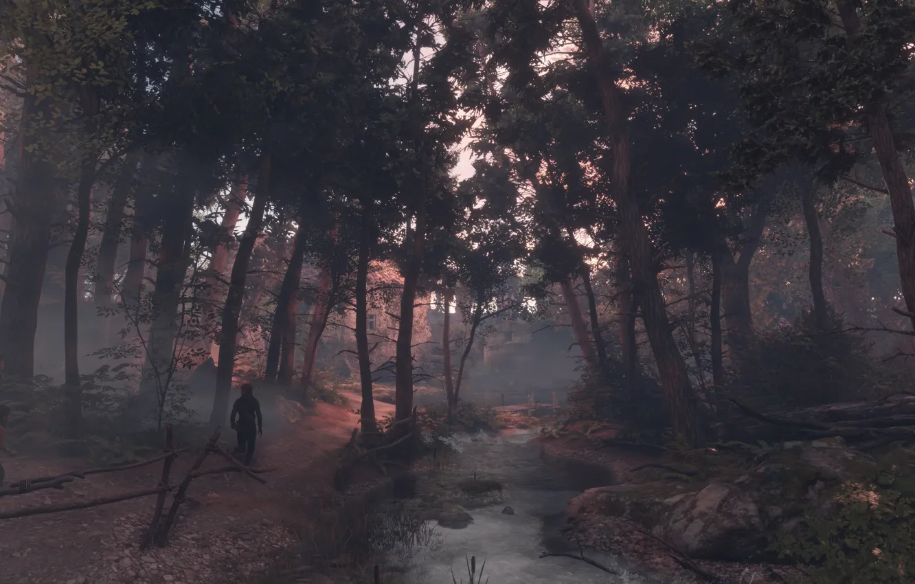 Photo wallpaper forest, trees, river, a plague tale: innocence