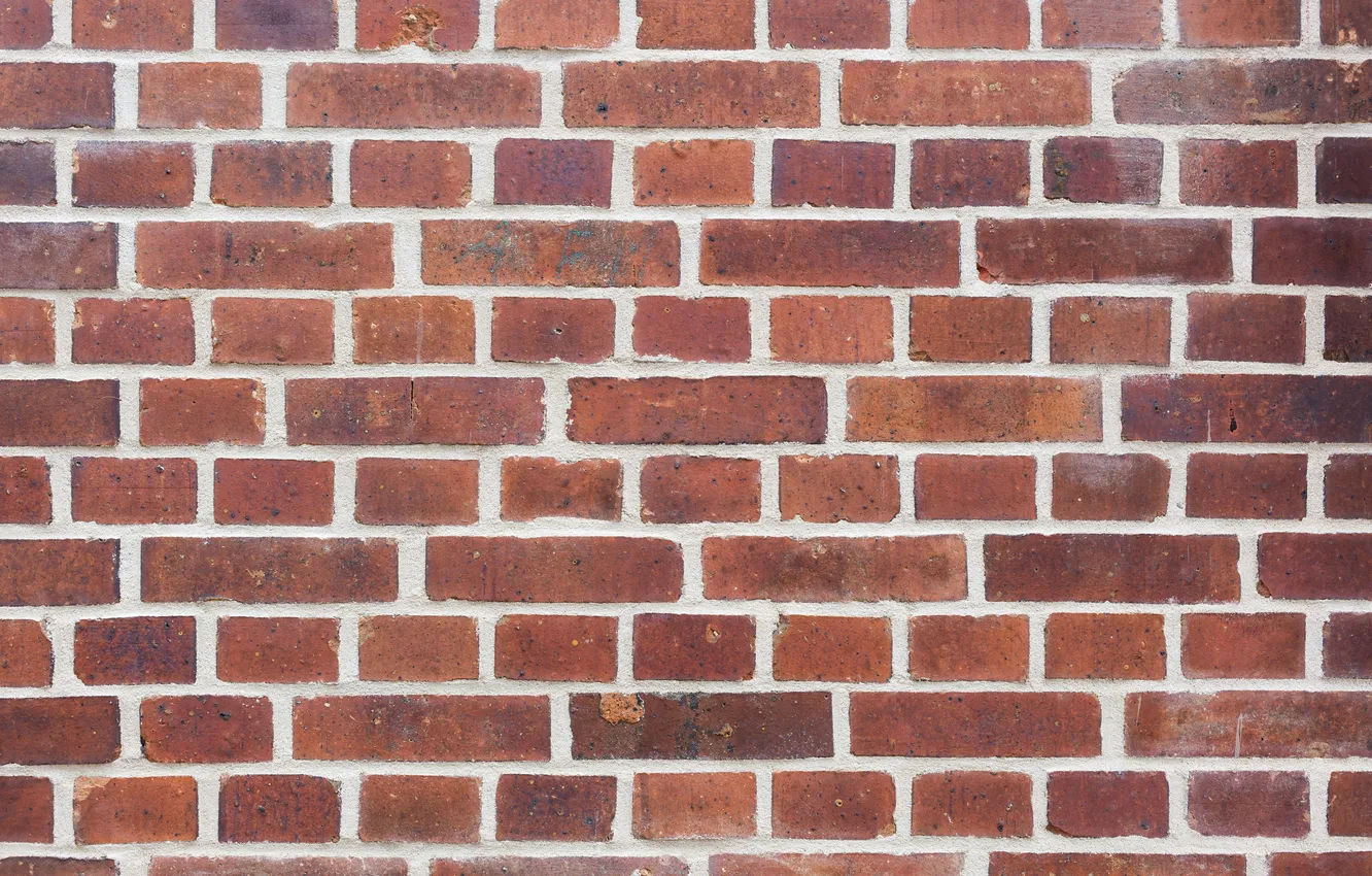 Photo wallpaper wall, bricks, pattern, cement