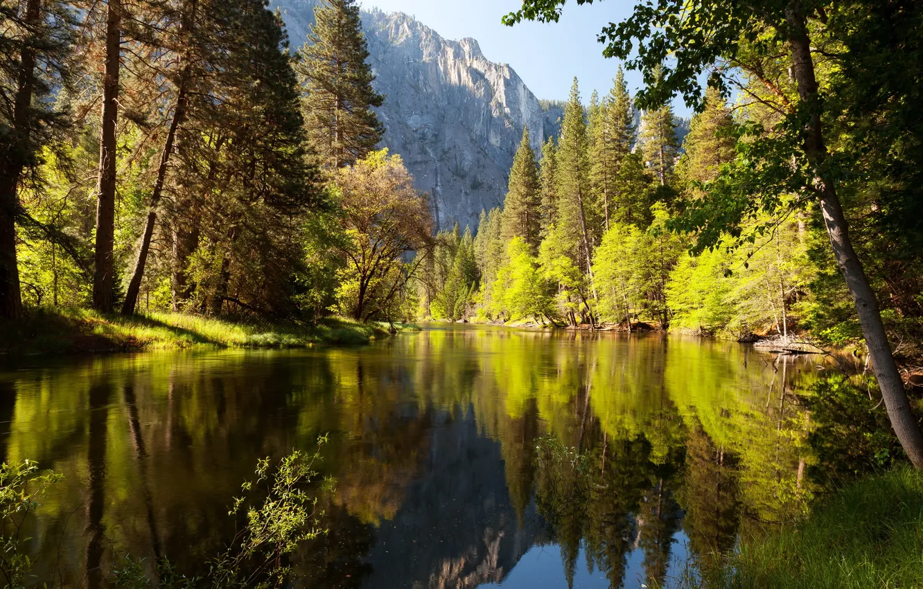 Photo wallpaper forest, nature, lake, Park, photo, CA, USA, Yosemite