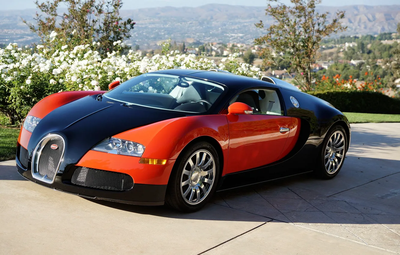Photo wallpaper Bugatti, Veyron, Red, Black, Valley, Profile