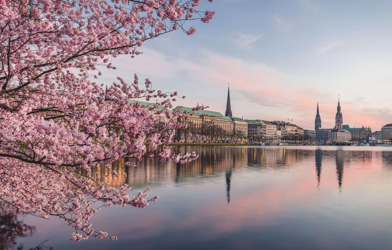 Photo wallpaper city, river, Germany, cherry blossom, Hamburg