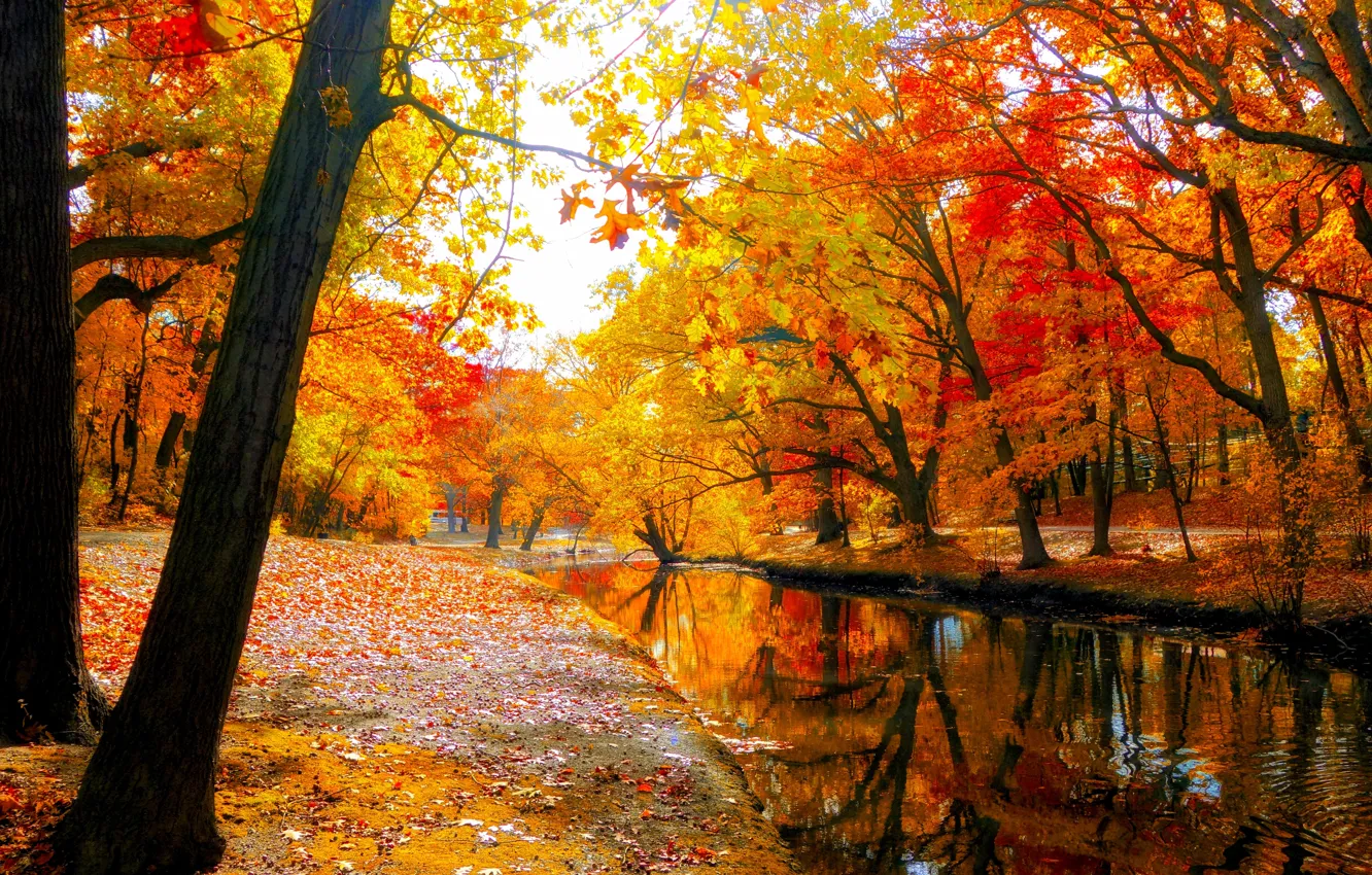 Photo wallpaper autumn, forest, the sky, leaves, water, trees, mountains, nature, Park, river, colors, colorful, forest, river, …