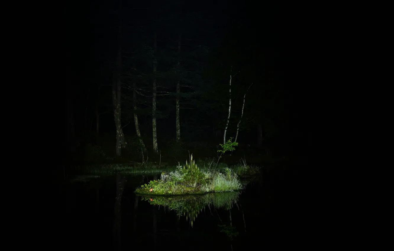 Photo wallpaper forest, grass, trees, night, lake, reflection, lighting, island