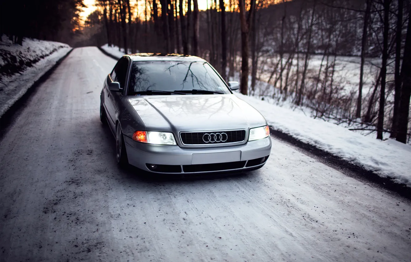 Photo wallpaper forest, snow, Audi, Audi, silver, stance, Doroga