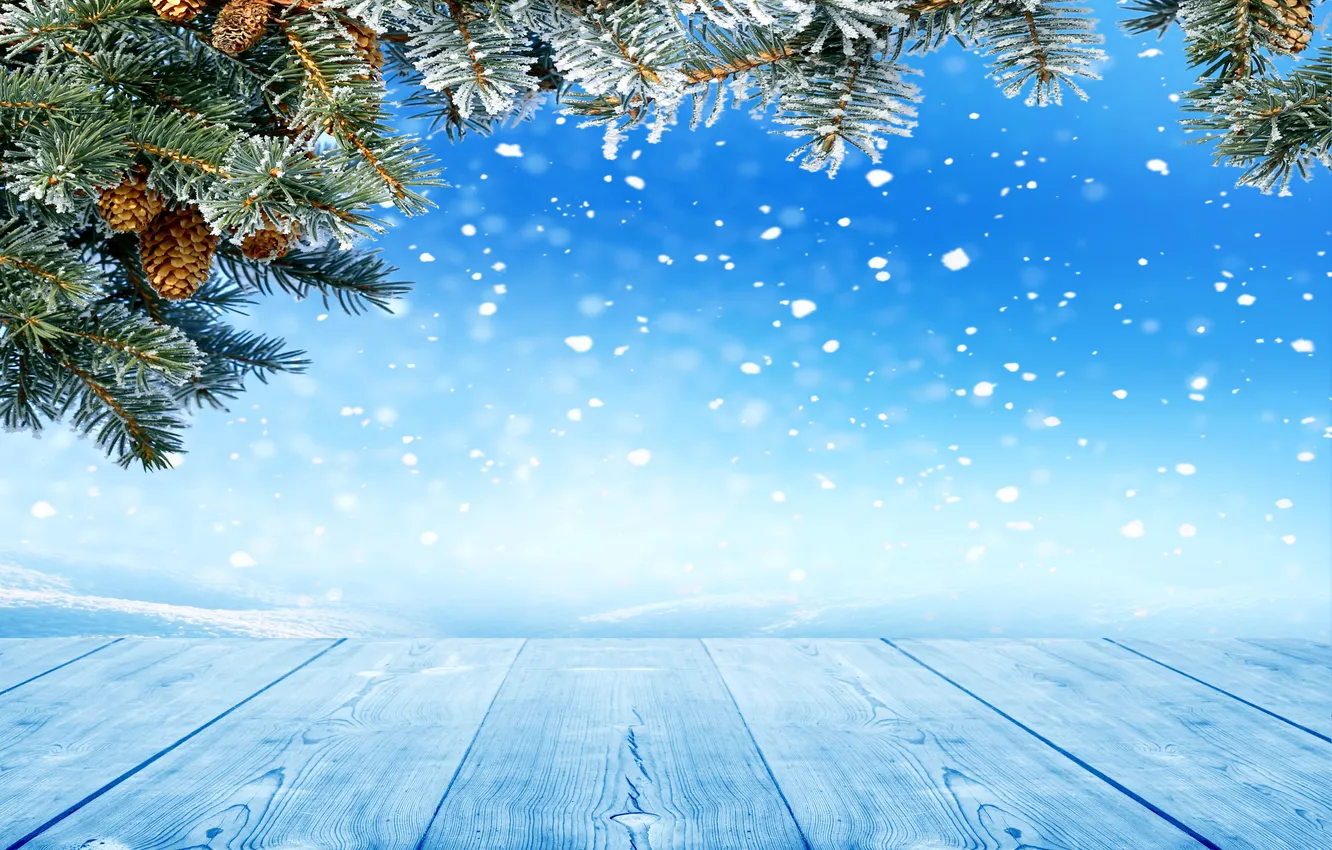 Photo wallpaper winter, snow, snowflakes, tree, bumps, nature, winter, snow