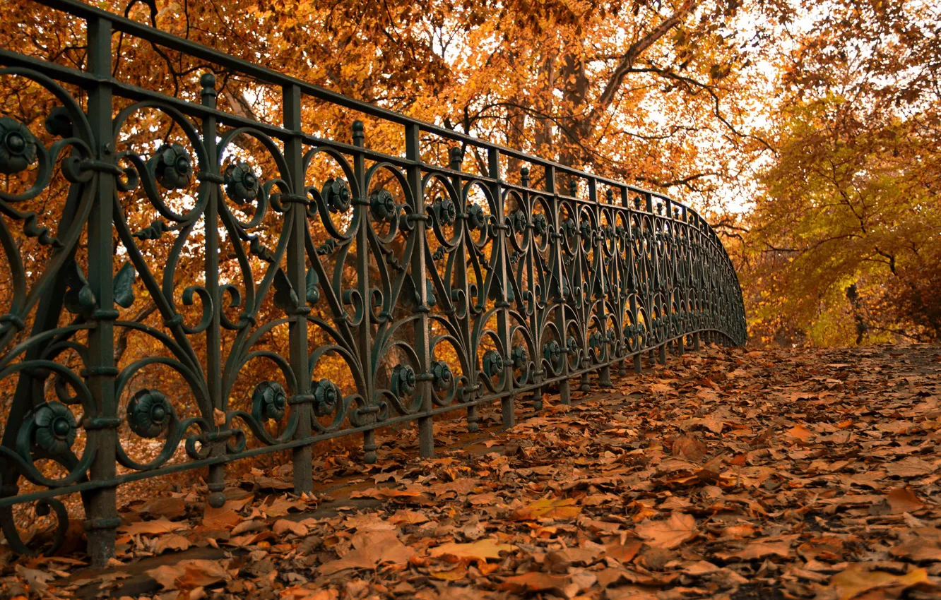 Photo wallpaper autumn, leaves, street, the fence