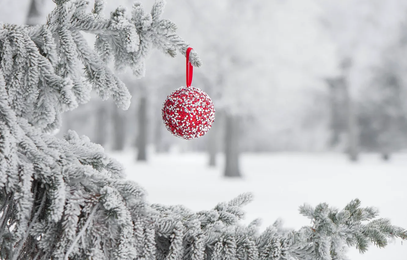 Photo wallpaper winter, frost, balls, snow, holiday, toy