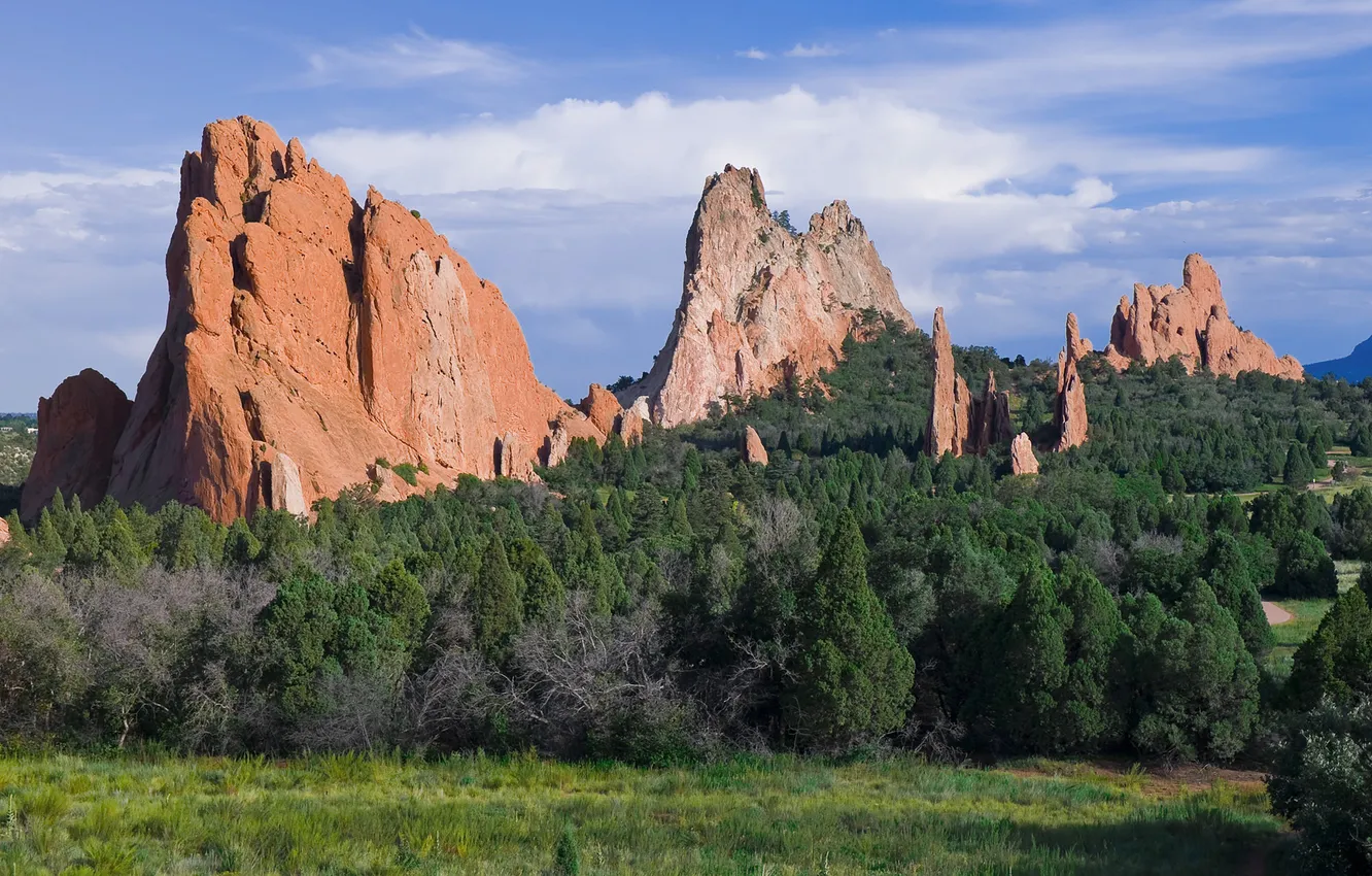 Photo wallpaper forest, nature, rocks, Colorado