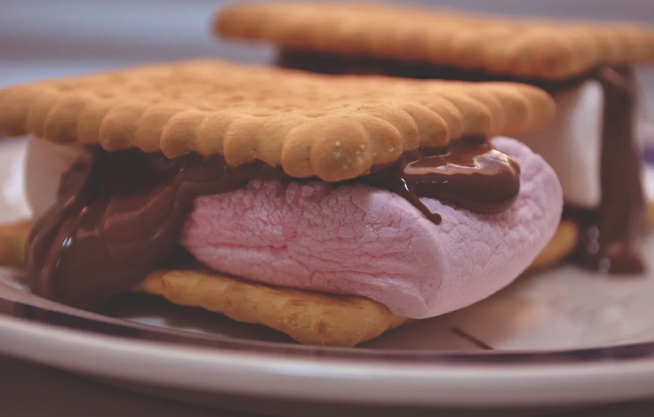 Photo wallpaper macro, chocolate, cookies, pasta