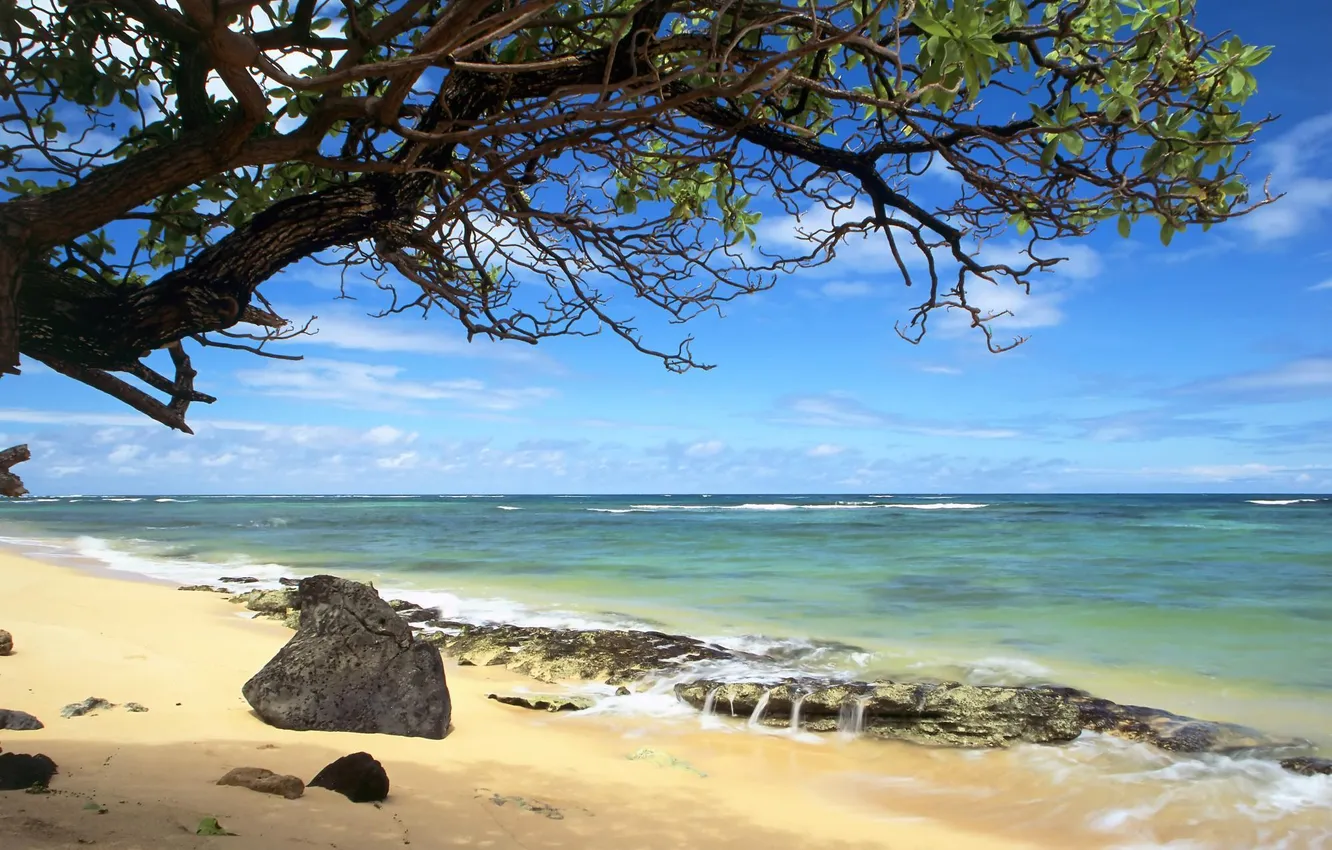 Photo wallpaper sand, sea, wave, clouds, trees, stones, horizon