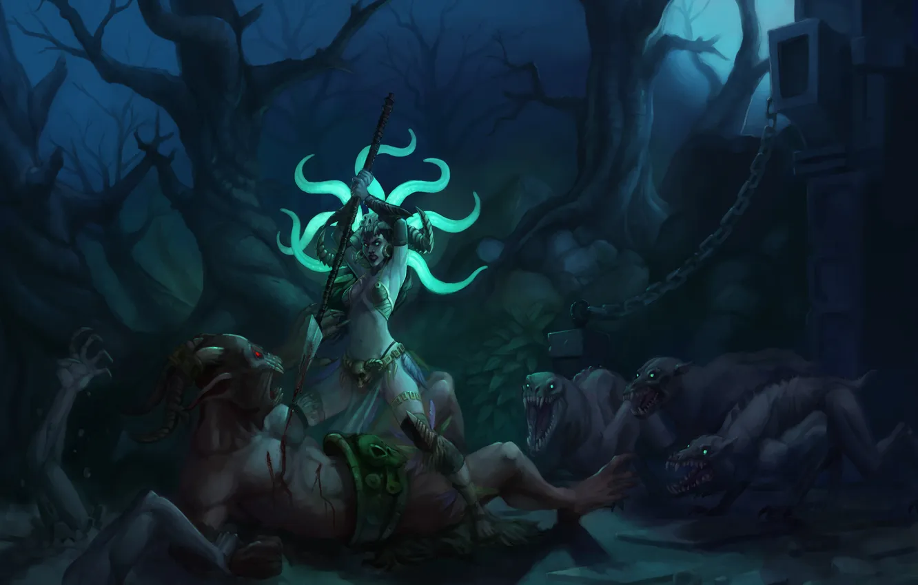 Photo wallpaper Diablo 3, woman, rpg, Witch Doctor, Reaper of Souls