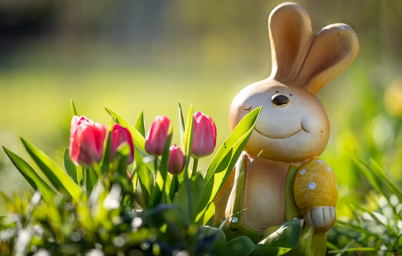 Photo wallpaper light, flowers, smile, mood, toy, hare, eggs, spring
