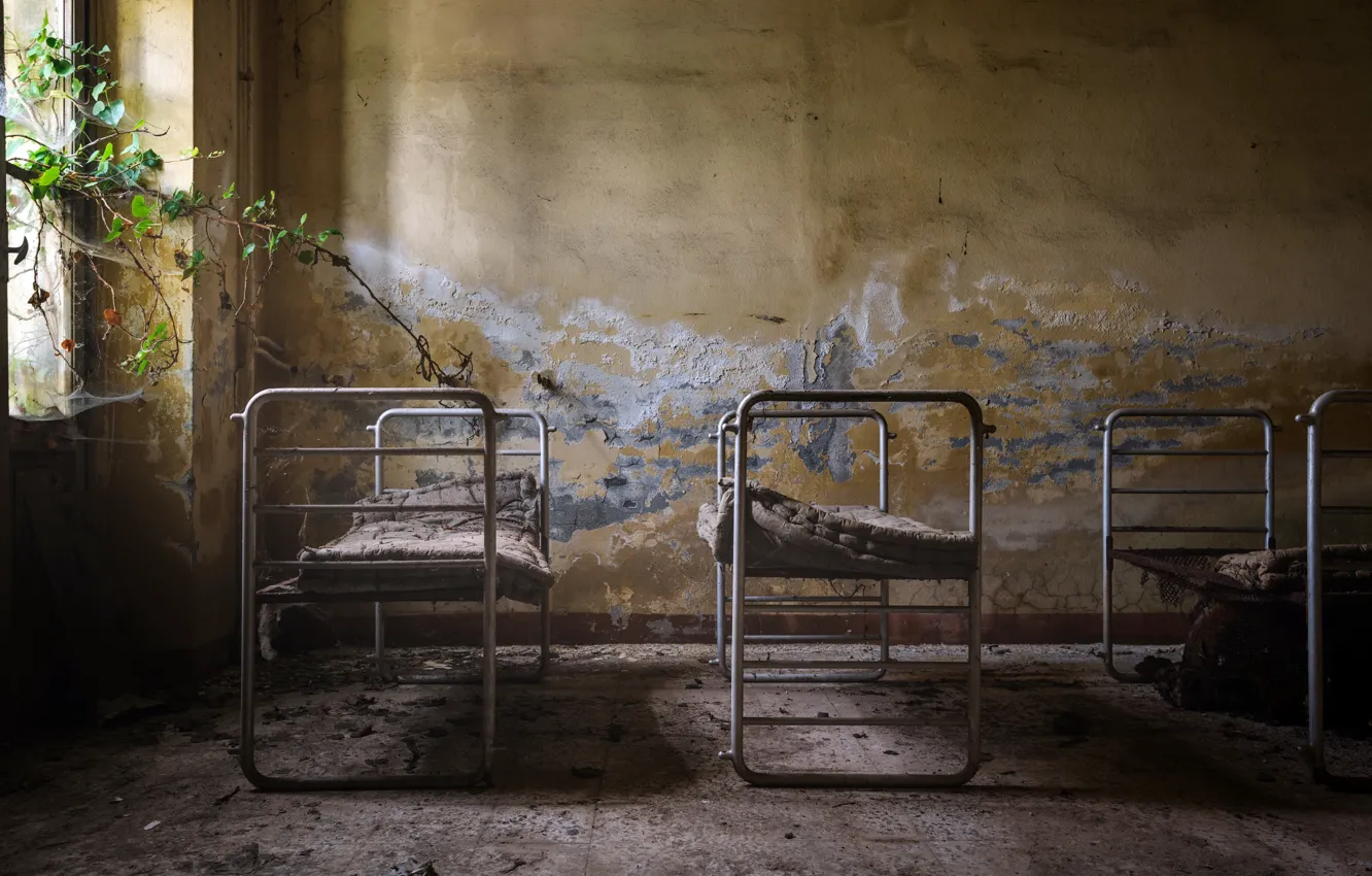 Photo wallpaper branches, bed, window